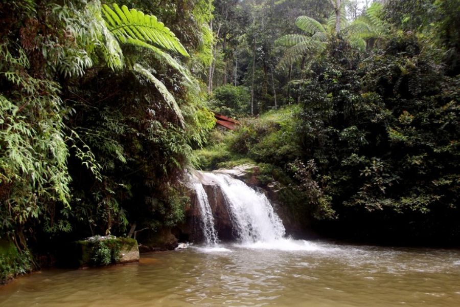 Waterfall Cameron Highlands 