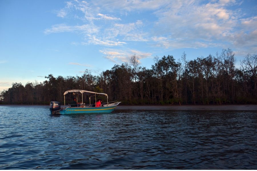 Wildlife Cruise at Kuching Wetlands National Park 