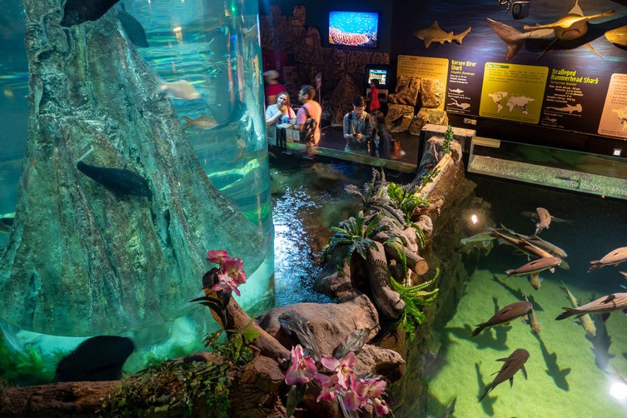 Aquariums KLCC 
