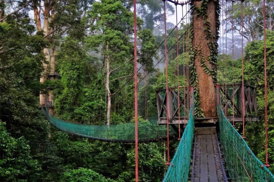 Parc Kinabalu