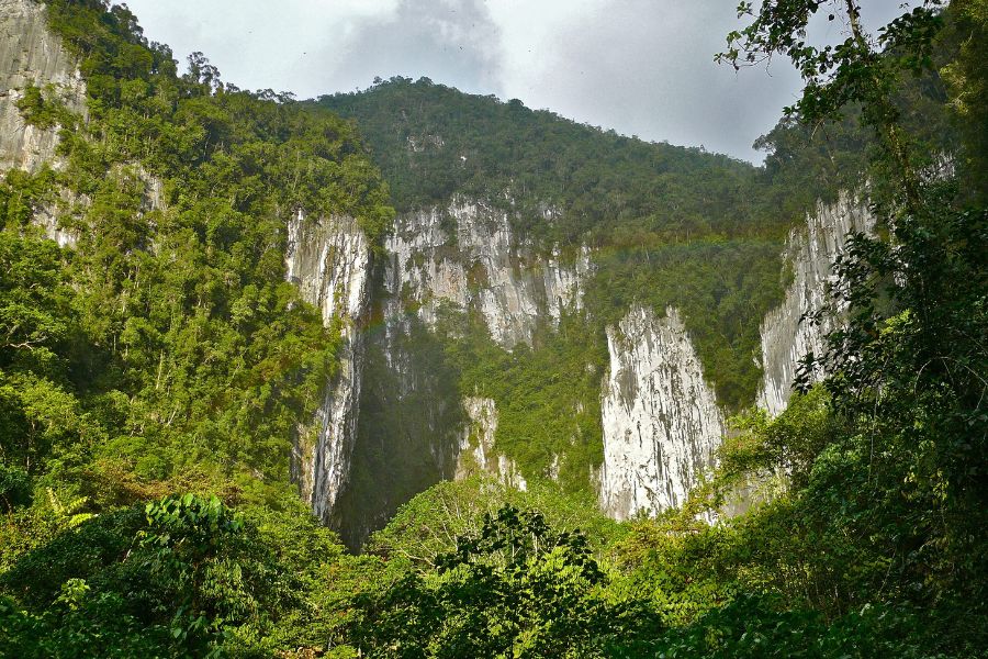 Grotte du cerf 