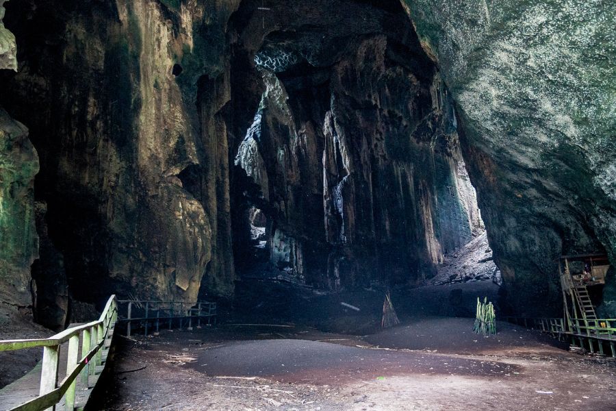 Gomantong Caves