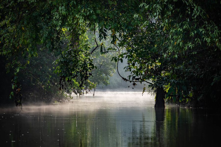Oxbow Lakes