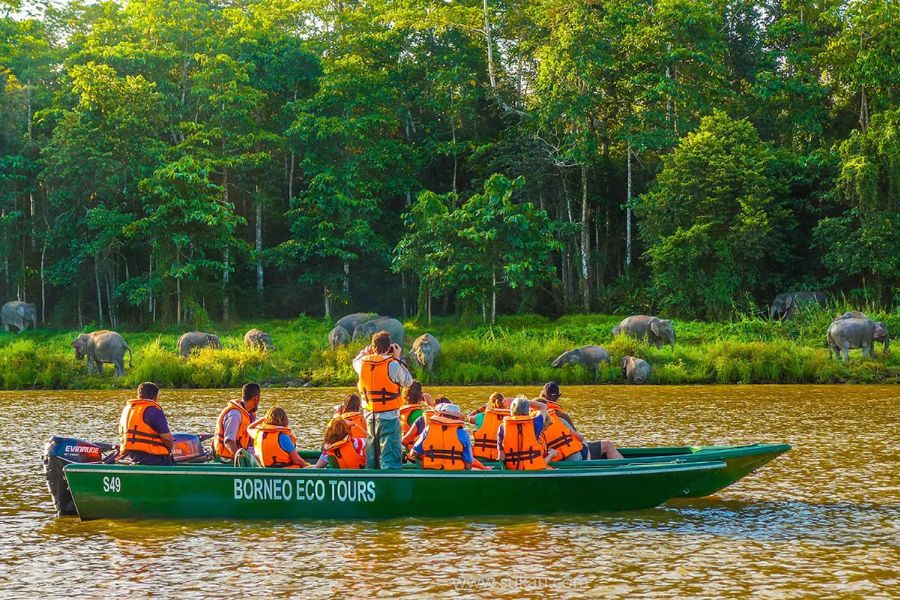 Kinabatangan River 