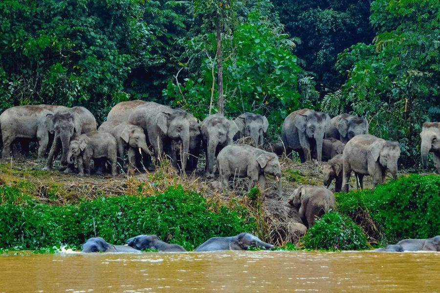 History of Kinabatangan