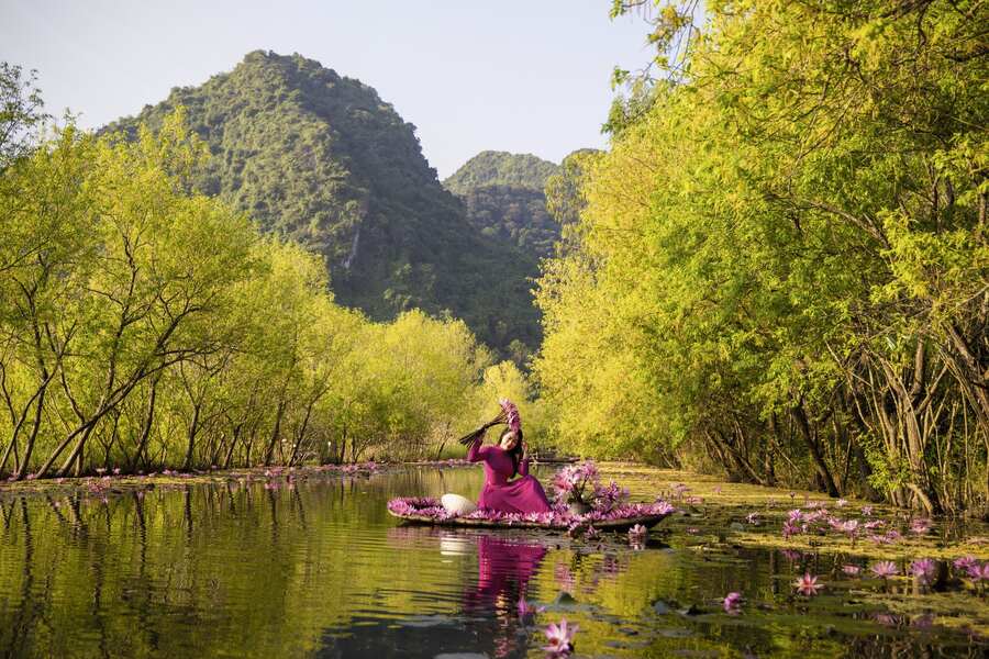 Yen Stream during the water lily season (October to December). Photo: Dan Viet