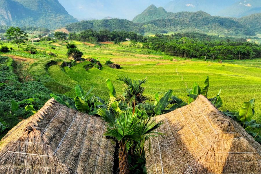 The beauty of Pu Luong Nature Reserve