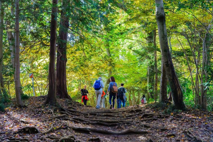 Hiking are near Hang En Cave
