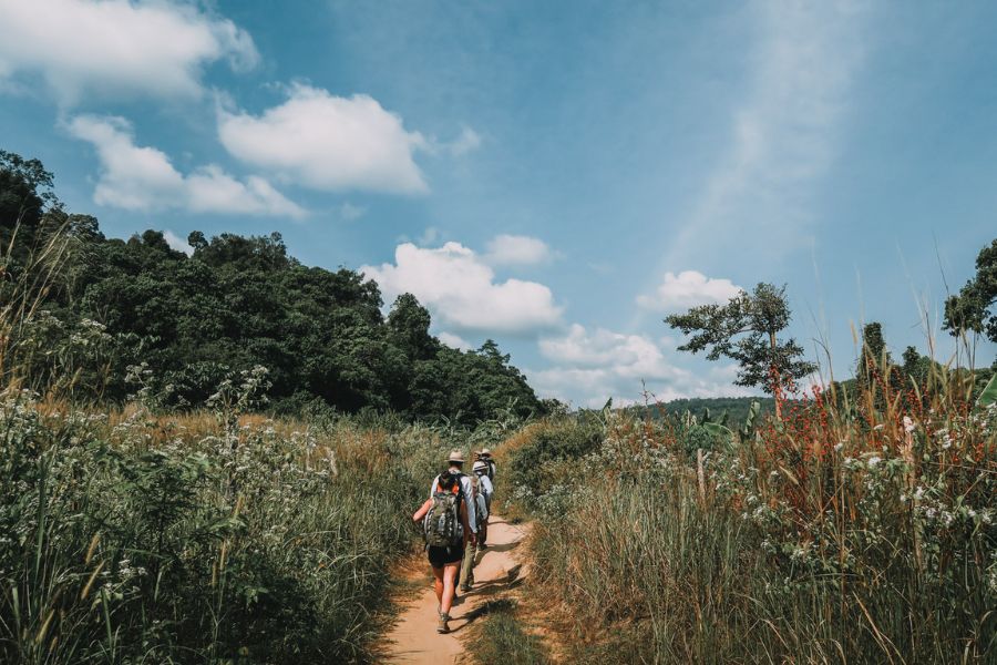 Hiking at the Cardamom Mountains