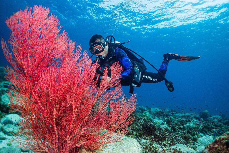 Scuba Diving in Cambodia 