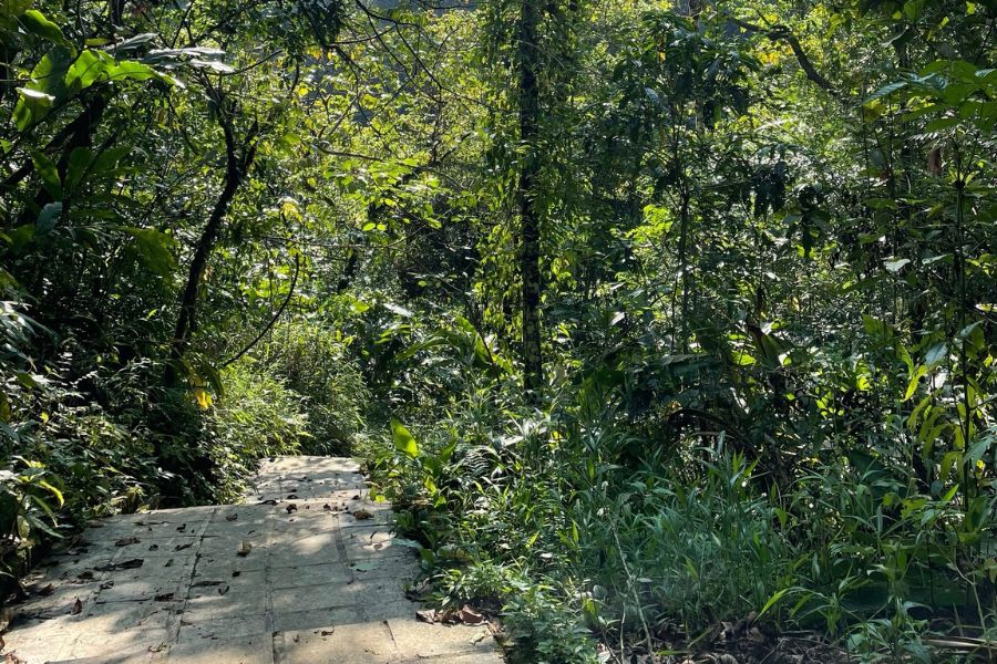 Camping near Pu Sam Cap Cave