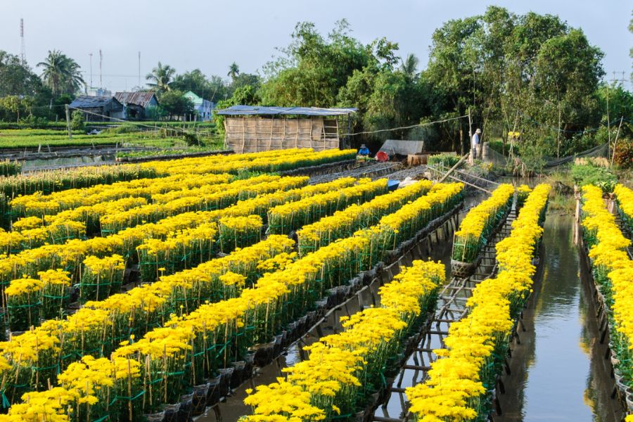 Sa Dec Flower Village