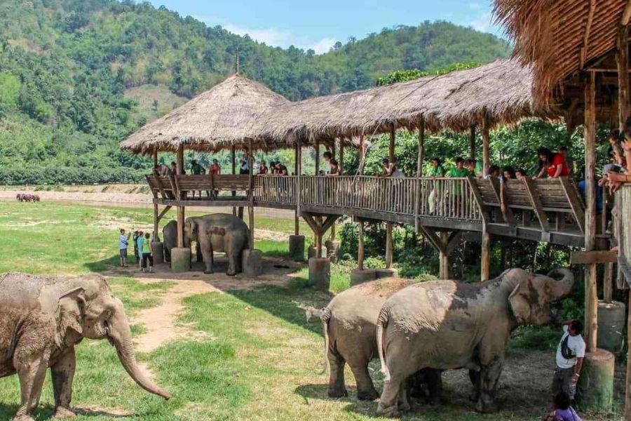 Elephant Nature Park