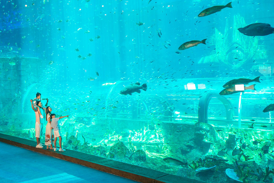 Vinpearl Aquarium Phu Quoc is the largest aquarium in Vietnam. Photo: Go2Joy