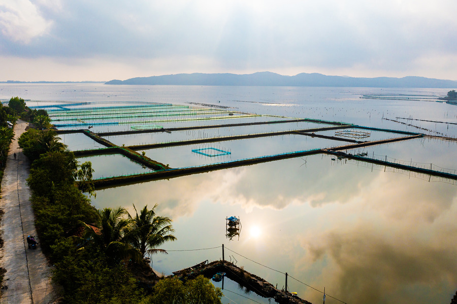 The lagoon's surface is as calm as a mirror, reflecting the sunlight. Photo: Markettimes