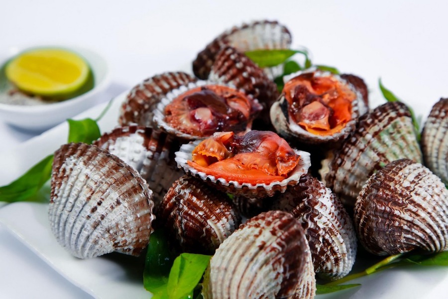 The blood cockles at O Loan Lagoon are of significantly higher quality than those from other places. Photo: MIA