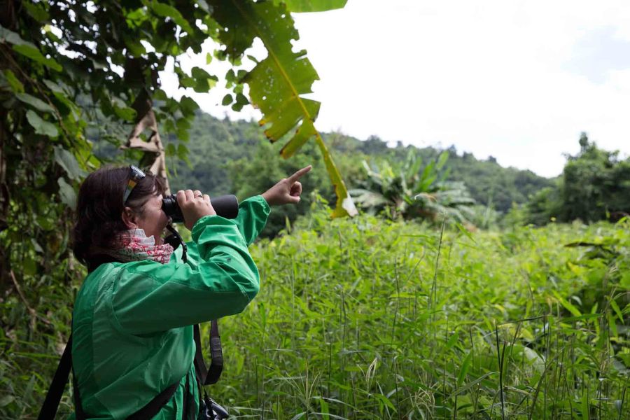 Ecotourism helps ensure forests, wildlife preserves