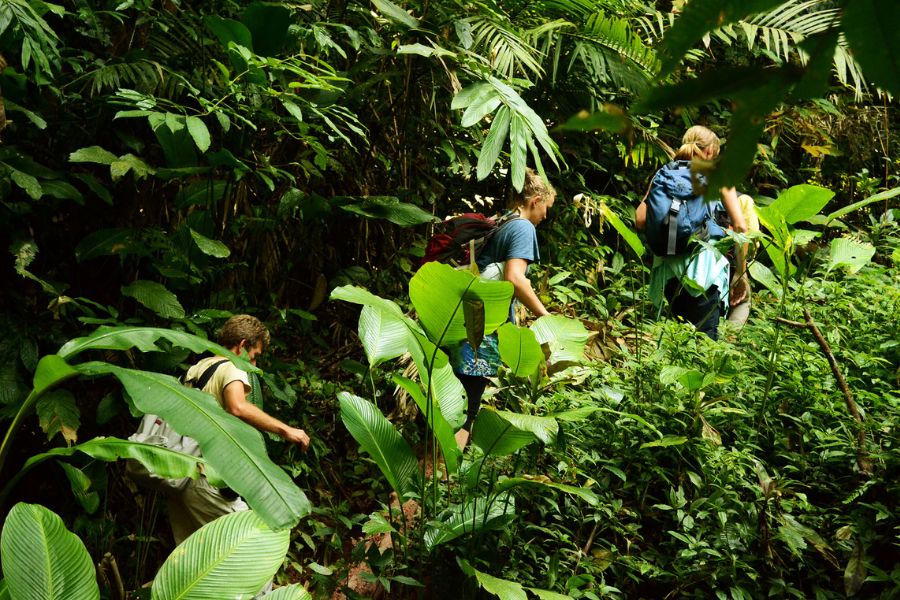 Trekking in Nam Ha National Protected Area