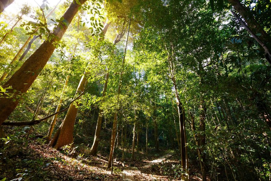 Best time to visit Chu Mom Ray National Park