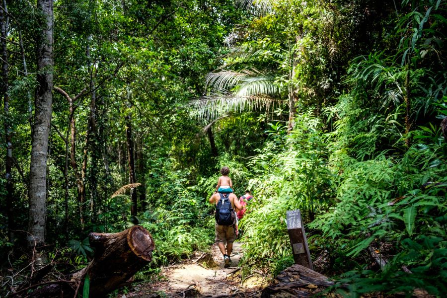 Penang National Park