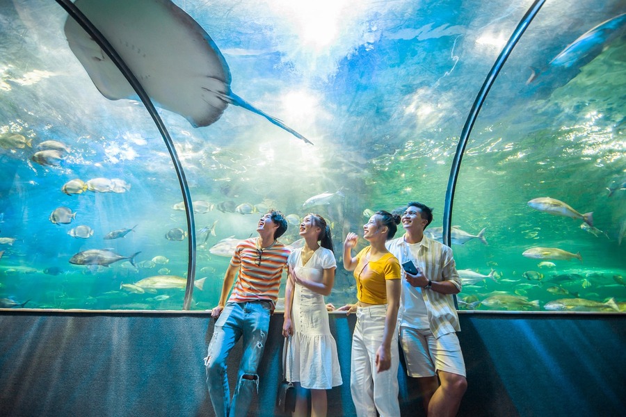 Indoor activities are not affected by the heat