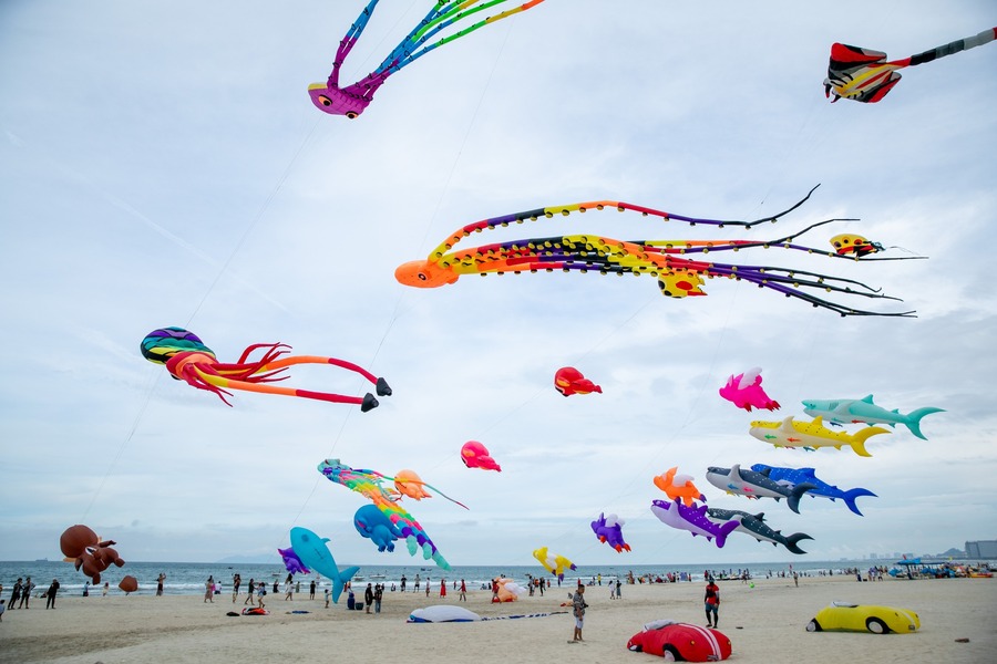Da Nang embraces the summer breeze