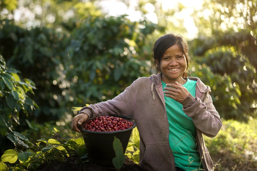 Visit Bolaven Plateau and enjoy the local specialty coffee