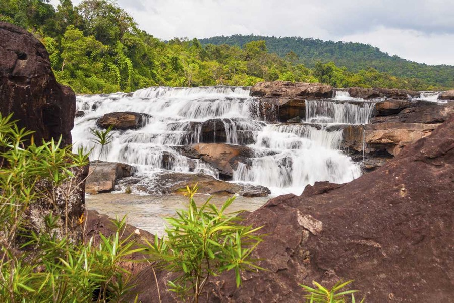 Cardamom Mountains are one of Cambodia’s most significant natural treasures