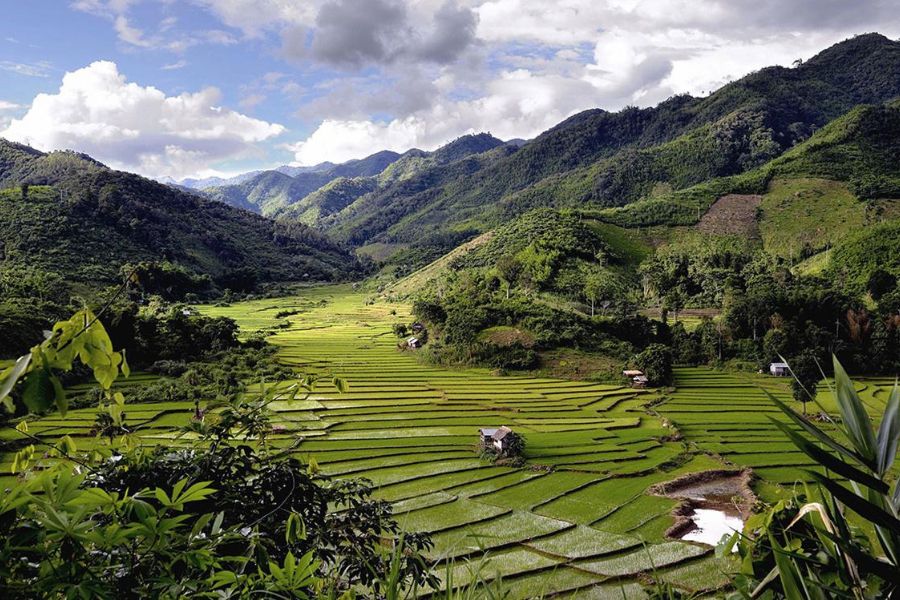 Phongsaly Highland