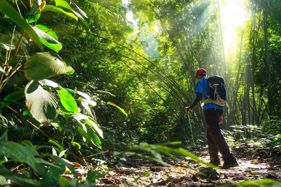 Weather in Thailand is perfect for trekking