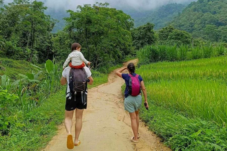 Trekking in Pu Luong Nature Reserve 