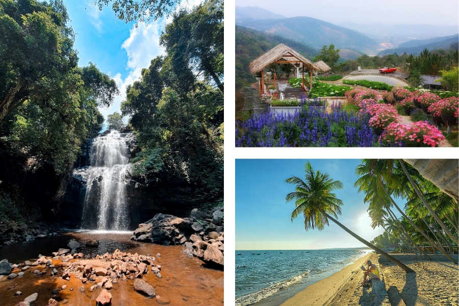 Lam Dong's natural beauty stretches from the highlands to the sea