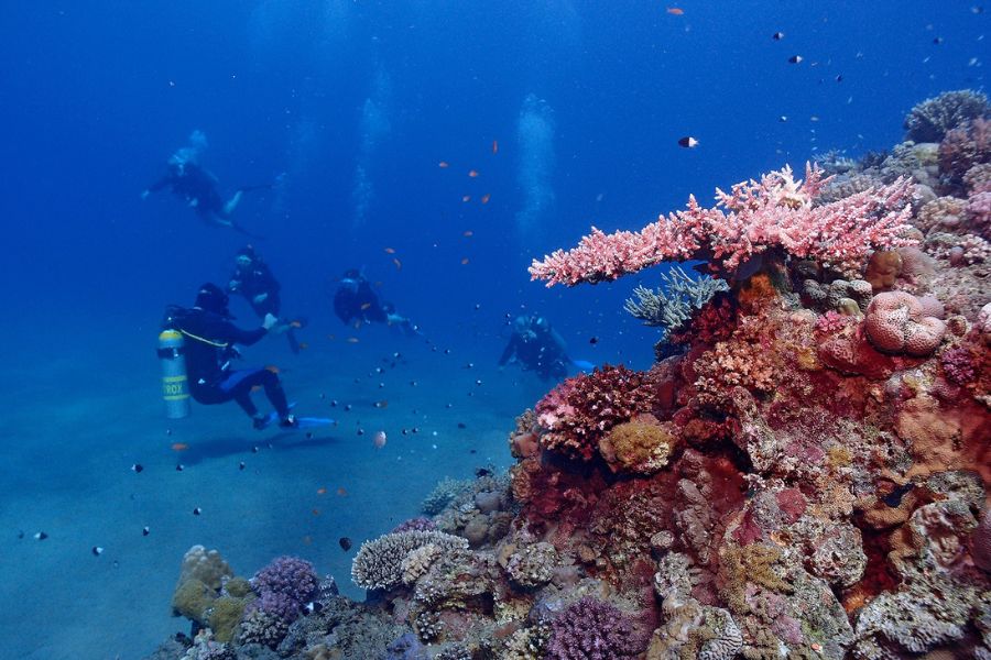 What special about diving in Thailand