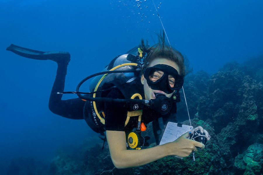 A diving supervisor is essential 