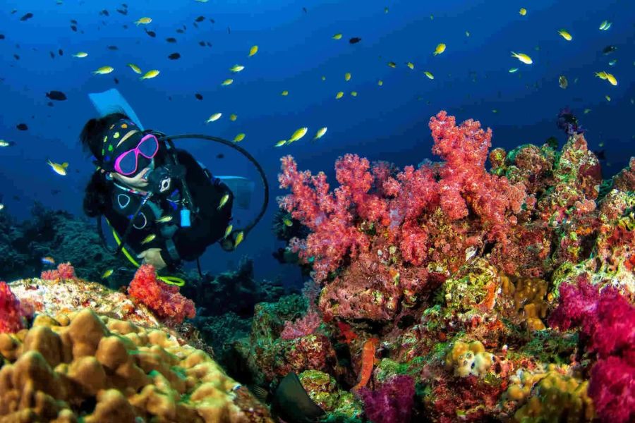 Maintain at least two meter distance above coral heads