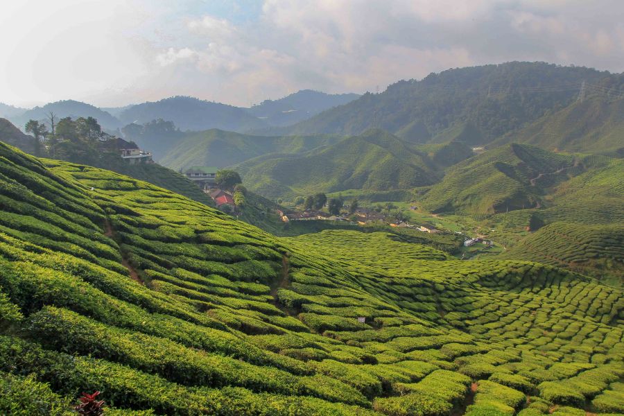 Stunning beauty of Malaysia Highlands