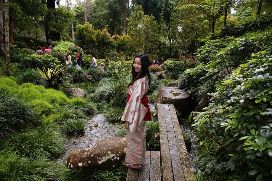 Botanical Garden at Bukit Tinggi