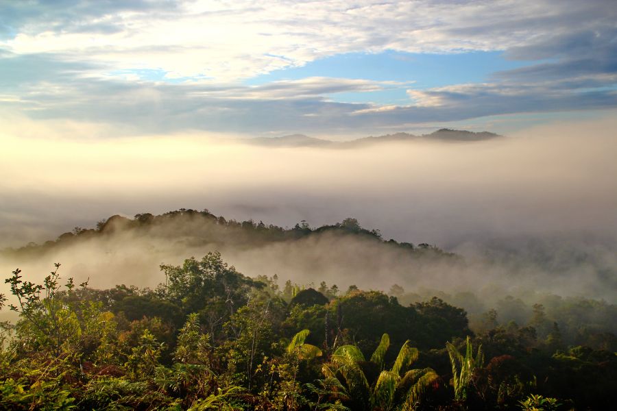 Climbing Prayer Mountain