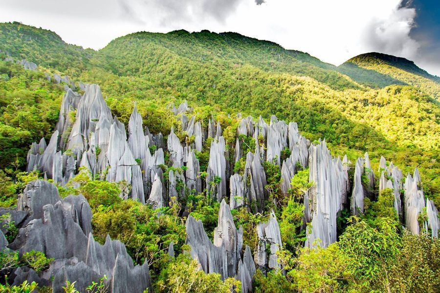 Gulu National Park in Sarawak