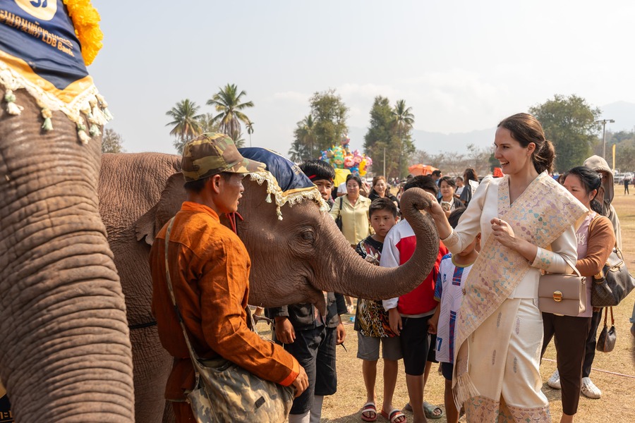 The pleasant weather at the beginning of the year will allow the elephants to be more active