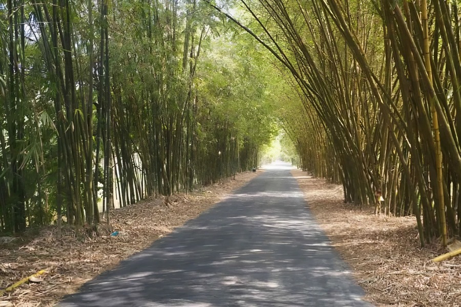 The road to the tourist area