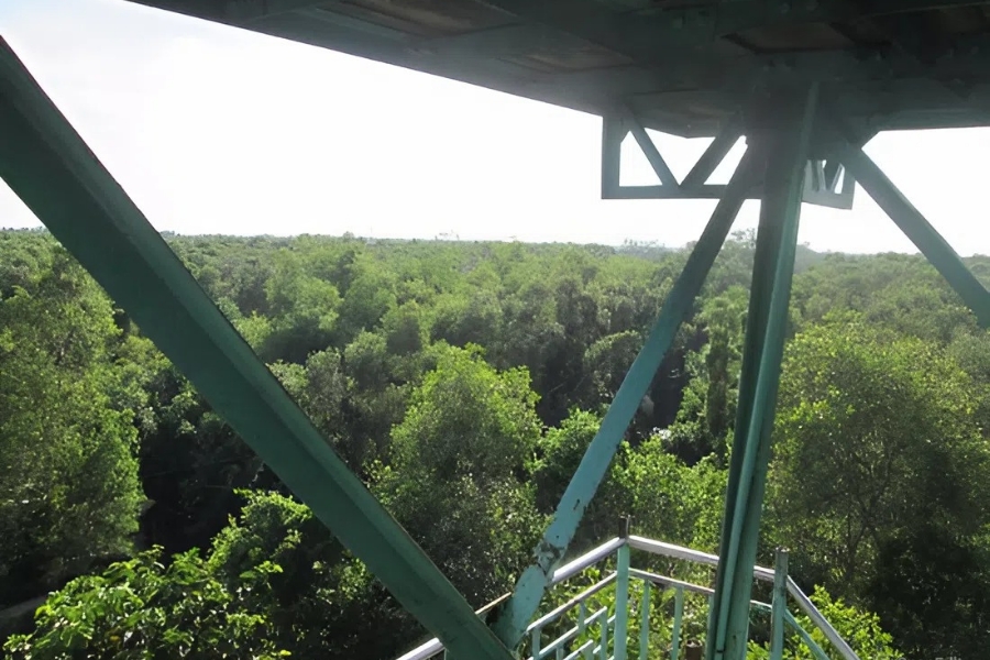 Panoramic view from the observation tower