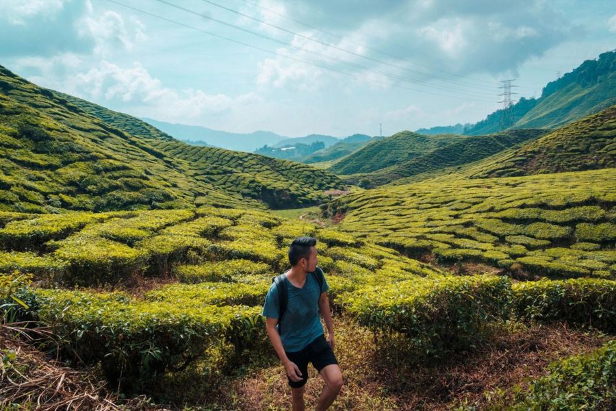 Experience Highlands Tour in Malaysia 