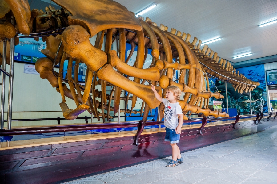 The Institute of Oceanography attracts the interest of both domestic and foreign tourists