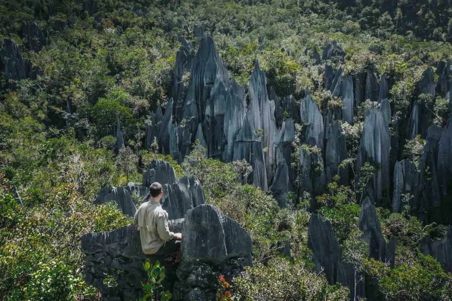 The Pinnacles trails in Gunung Mulu National Park
