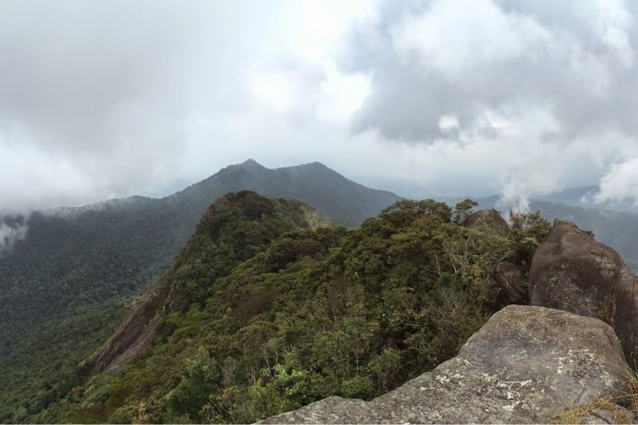 Challenging trail of Mount Ledang in Johor