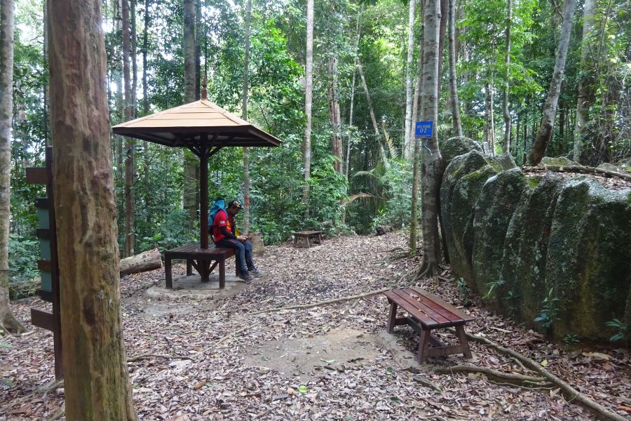 Mount Belumut in Johor