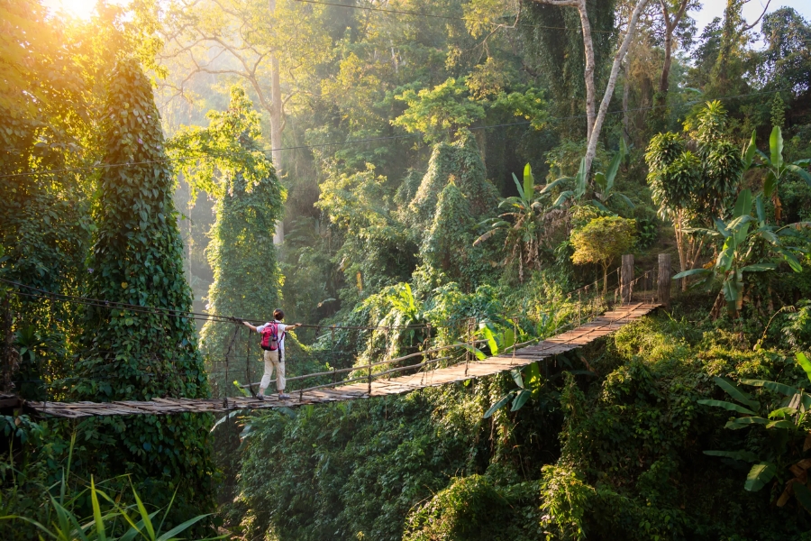 Trekking and hiking are the common activities in Northern Thailand