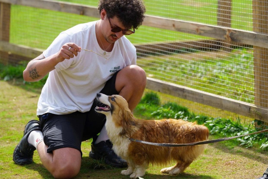 The Florest brings you truly close to peaceful nature