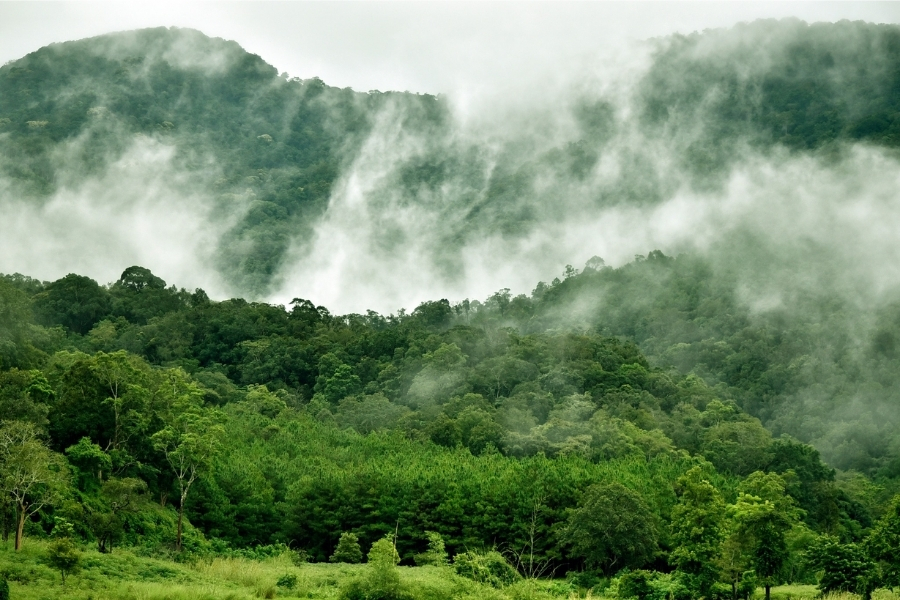 Majestic view of the mountains in Kon Ka Kinh National Park